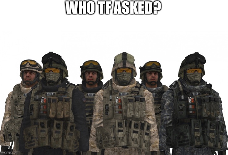 Mw2 | WHO TF ASKED? | image tagged in mw2,memes,who the hell cares | made w/ Imgflip meme maker