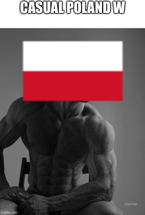 Giga Chad | CASUAL POLAND W | image tagged in giga chad | made w/ Imgflip meme maker