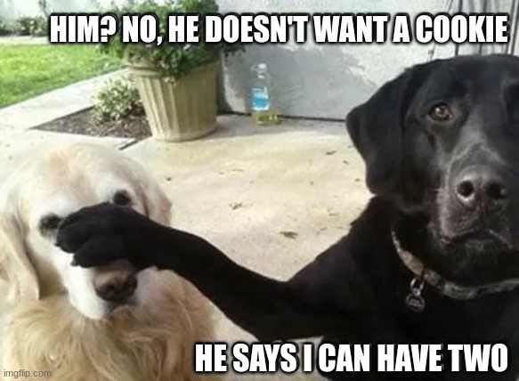 HIM? NO, HE DOESN'T WANT A COOKIE; HE SAYS I CAN HAVE TWO | made w/ Imgflip meme maker