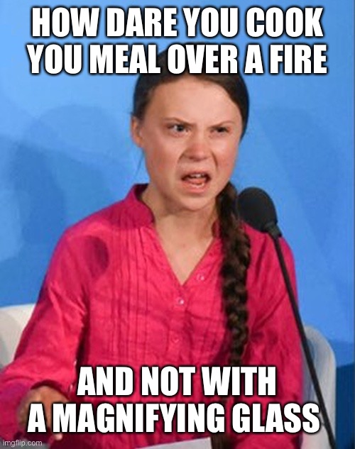 Greta Thunberg how dare you | HOW DARE YOU COOK YOU MEAL OVER A FIRE AND NOT WITH A MAGNIFYING GLASS | image tagged in greta thunberg how dare you | made w/ Imgflip meme maker