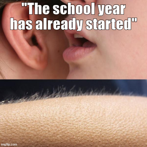 Bro I swear, we get like 4 minutes of Summer Vacation | "The school year has already started" | image tagged in whisper and goosebumps | made w/ Imgflip meme maker