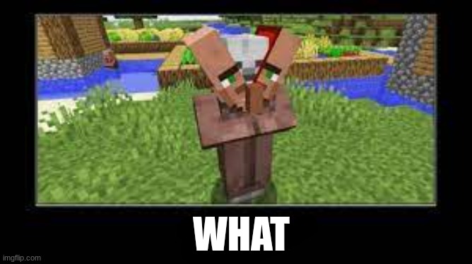 WHAT | made w/ Imgflip meme maker