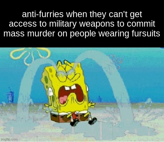 anti-furries when they can't get access to military weapons to commit mass murder on people wearing fursuits | made w/ Imgflip meme maker