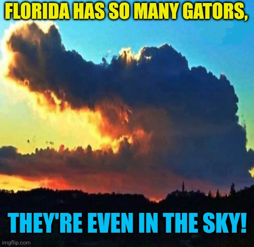 Florida Gator Cloud | FLORIDA HAS SO MANY GATORS, THEY'RE EVEN IN THE SKY! | image tagged in florida,alligator,clouds | made w/ Imgflip meme maker