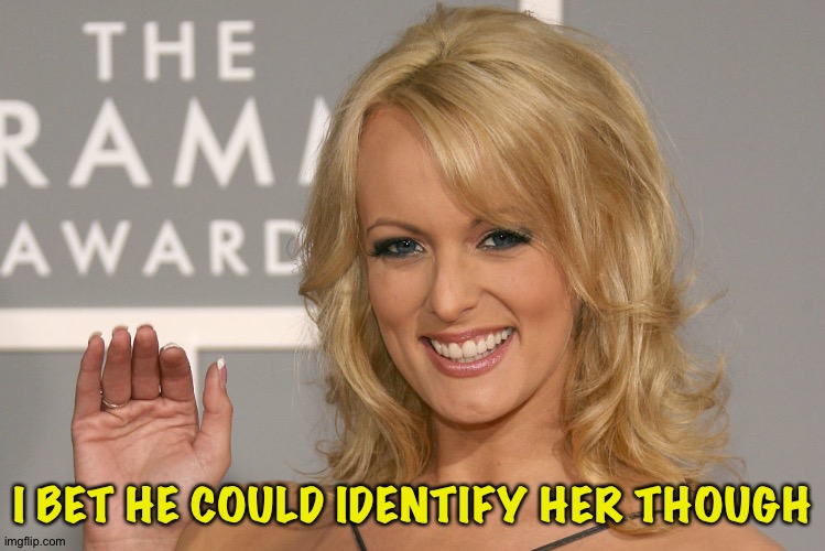 Stormy Daniels | I BET HE COULD IDENTIFY HER THOUGH | image tagged in stormy daniels | made w/ Imgflip meme maker