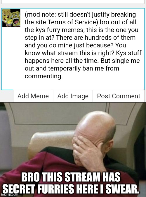 (mod note: um actuashally this stream has the best security and we don't justify your actions and even though hundreds of users  | BRO THIS STREAM HAS SECRET FURRIES HERE I SWEAR. | image tagged in memes,captain picard facepalm,anti furry,imgflip mods | made w/ Imgflip meme maker