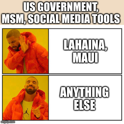 No - Yes | US GOVERNMENT, MSM, SOCIAL MEDIA TOOLS; LAHAINA, MAUI; ANYTHING ELSE | image tagged in no - yes | made w/ Imgflip meme maker