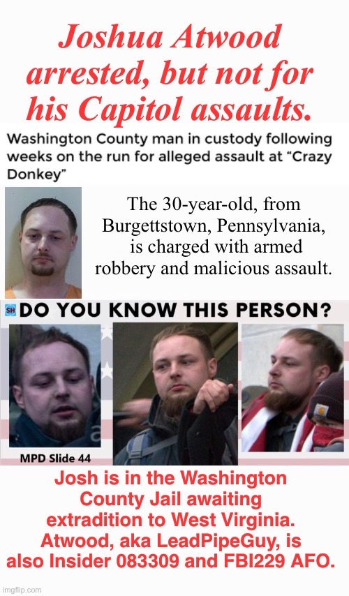Another of Florida Man's Finest | image tagged in criminal,domestic terrorists,assault,treason,traitor | made w/ Imgflip meme maker