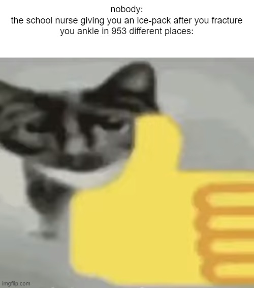 it works sometimes idk how though | nobody:
the school nurse giving you an ice-pack after you fracture you ankle in 953 different places: | image tagged in funny meme,cat,kys,repost this | made w/ Imgflip meme maker
