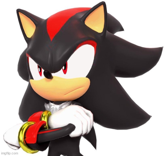 Shadow The Hedgehog | image tagged in shadow the hedgehog | made w/ Imgflip meme maker