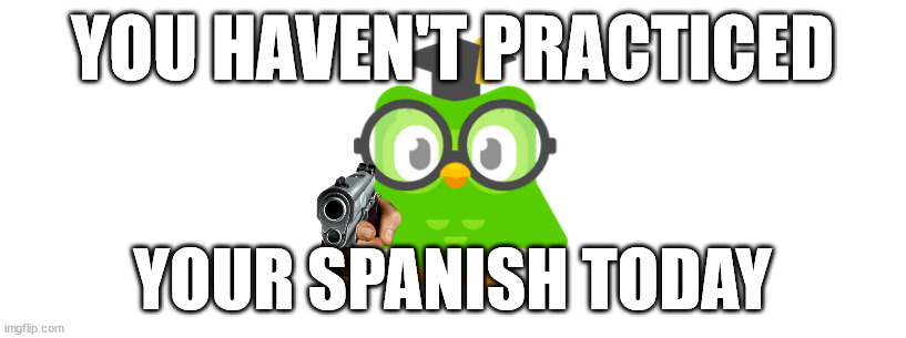 You haven't practiced your spanish today | YOU HAVEN'T PRACTICED; YOUR SPANISH TODAY | image tagged in duolingo bird,duolingo gun | made w/ Imgflip meme maker