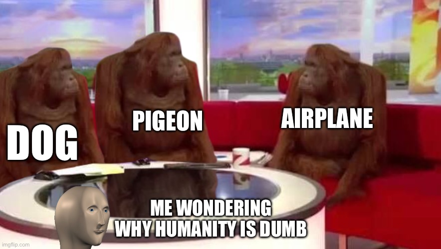 where monkey | AIRPLANE; PIGEON; DOG; ME WONDERING WHY HUMANITY IS DUMB | image tagged in where monkey | made w/ Imgflip meme maker