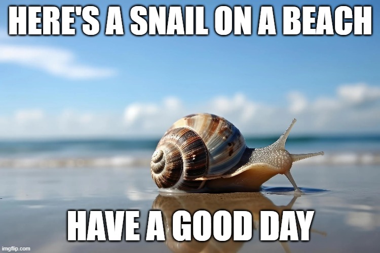 Even snails need to a break | HERE'S A SNAIL ON A BEACH; HAVE A GOOD DAY | image tagged in cute,wholesome,snail | made w/ Imgflip meme maker