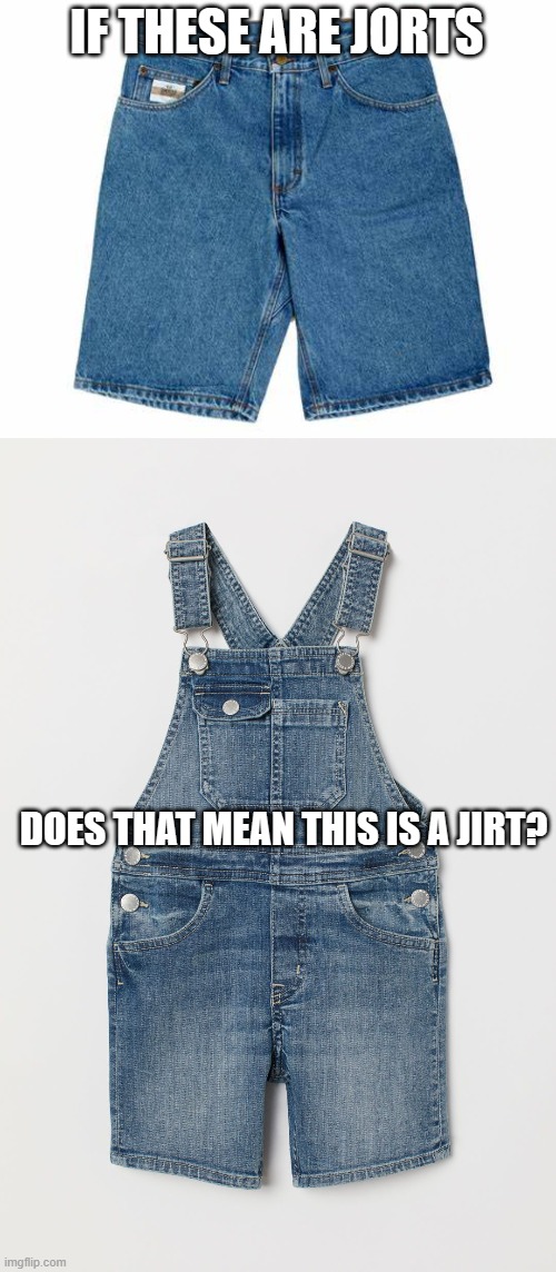 ??? | IF THESE ARE JORTS; DOES THAT MEAN THIS IS A JIRT? | image tagged in jorts,jirt | made w/ Imgflip meme maker