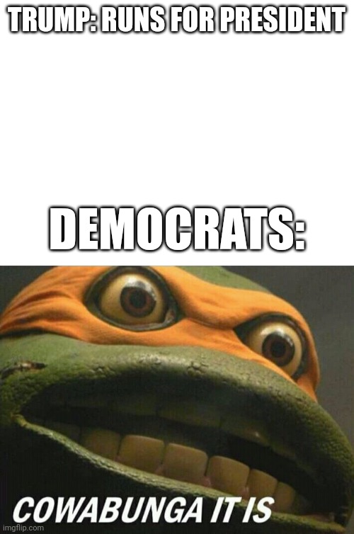 TRUMP: RUNS FOR PRESIDENT; DEMOCRATS: | image tagged in blank white template,cowabunga it is | made w/ Imgflip meme maker