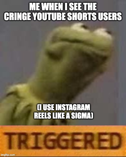 triggered | ME WHEN I SEE THE CRINGE YOUTUBE SHORTS USERS; (I USE INSTAGRAM REELS LIKE A SIGMA) | image tagged in kermit triggered | made w/ Imgflip meme maker