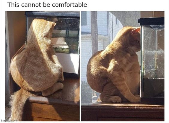 image tagged in memes,funny | made w/ Imgflip meme maker