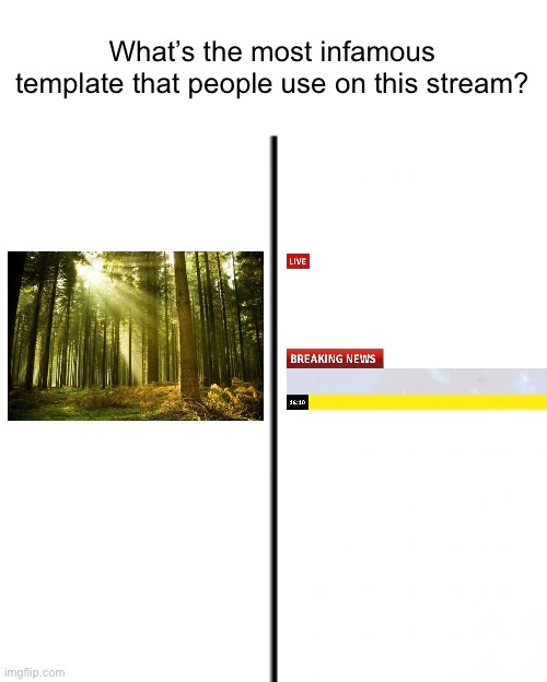 We live in a democracy so let’s vote on it lol (i forgot that thunderpug lives in a monarchy, he doesn't have to vote i guess) | What’s the most infamous template that people use on this stream? | image tagged in t chart | made w/ Imgflip meme maker