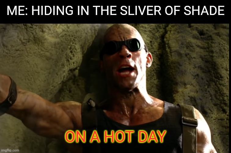 And the humidity level on Crematoria makes is so much worse!!! | ME: HIDING IN THE SLIVER OF SHADE; ON A HOT DAY | image tagged in vin diesel,summer | made w/ Imgflip meme maker