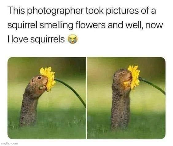 So wholesome :) | image tagged in memes,funny,wholesome,repost | made w/ Imgflip meme maker