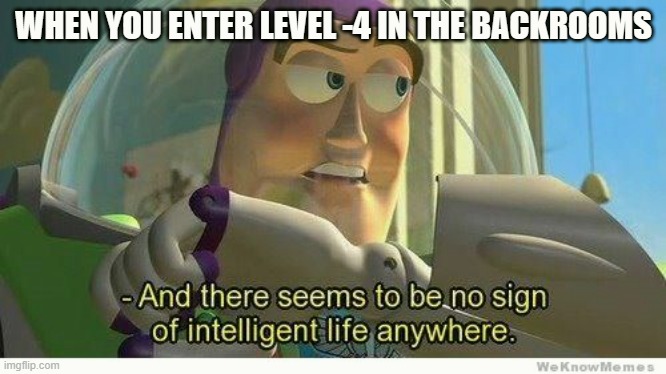 Buzz lightyear no intelligent life | WHEN YOU ENTER LEVEL -4 IN THE BACKROOMS | image tagged in buzz lightyear no intelligent life | made w/ Imgflip meme maker