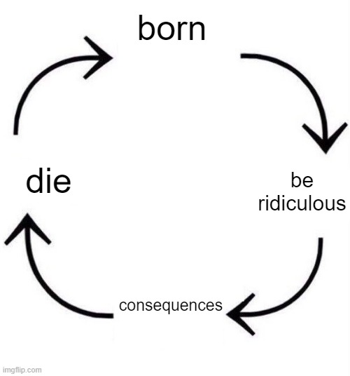 the circle of life | born; die; be ridiculous; consequences | image tagged in the circle of life | made w/ Imgflip meme maker