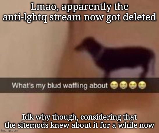 What's my blud waffling about | Lmao, apparently the anti-lgbtq stream now got deleted; Idk why though, considering that the sitemods knew about it for a while now | image tagged in what's my blud waffling about | made w/ Imgflip meme maker