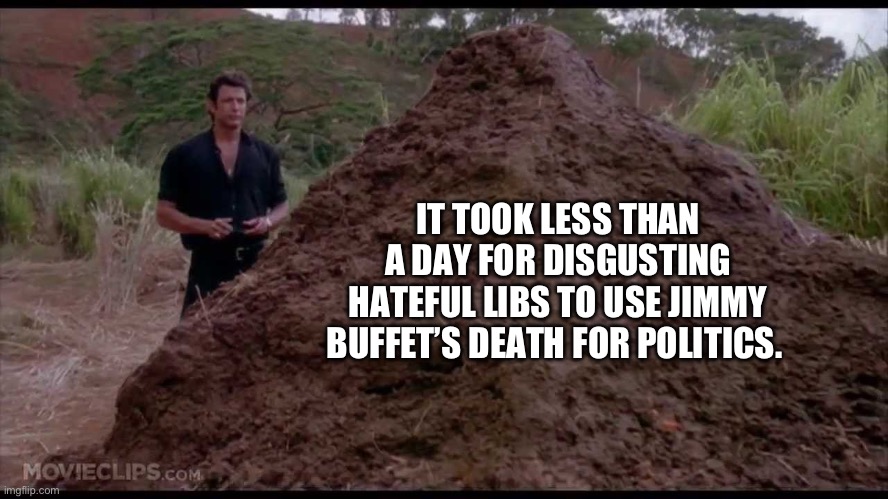 Yeah, I’m looking at you. Try to disable my comments here sh$$heads. | IT TOOK LESS THAN A DAY FOR DISGUSTING HATEFUL LIBS TO USE JIMMY BUFFET’S DEATH FOR POLITICS. | image tagged in that is one big pile of shit,politics,stupid liberals,disgusting,liberal hypocrisy,jimmy | made w/ Imgflip meme maker