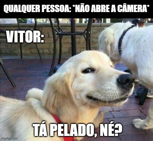dog smiling | QUALQUER PESSOA: *NÃO ABRE A CÂMERA*; VITOR:; TÁ PELADO, NÉ? | image tagged in dog smiling | made w/ Imgflip meme maker