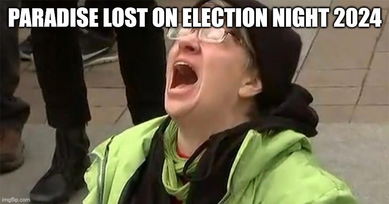 crying liberal | PARADISE LOST ON ELECTION NIGHT 2024 | image tagged in crying liberal | made w/ Imgflip meme maker