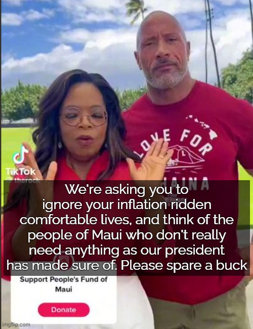 "If this doesn't work, perhaps we'll ask Hollywood .... perhaps" | We're asking you to ignore your inflation ridden comfortable lives, and think of the people of Maui who don't really need anything as our president has made sure of. Please spare a buck | image tagged in maui,american politics,sarcasm | made w/ Imgflip meme maker