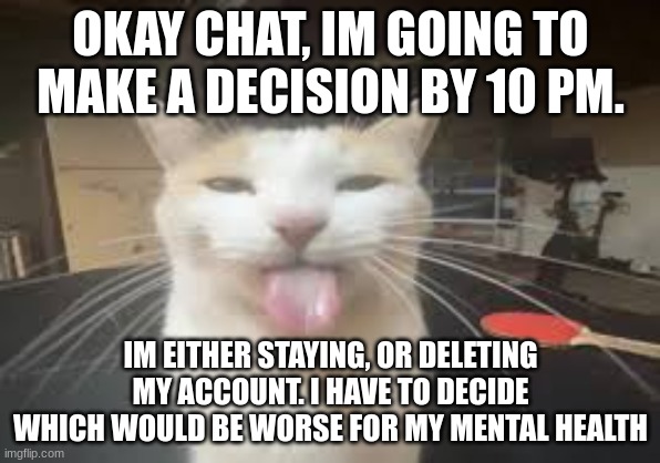 Cat | OKAY CHAT, IM GOING TO MAKE A DECISION BY 10 PM. IM EITHER STAYING, OR DELETING MY ACCOUNT. I HAVE TO DECIDE WHICH WOULD BE WORSE FOR MY MENTAL HEALTH | image tagged in cat | made w/ Imgflip meme maker
