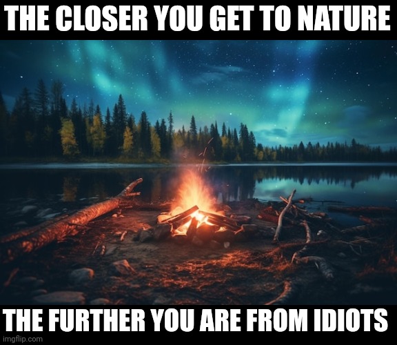 NATURE TAKES YOUR STRESS AWAY | THE CLOSER YOU GET TO NATURE; THE FURTHER YOU ARE FROM IDIOTS | image tagged in nature,forest,woods,lake,camping | made w/ Imgflip meme maker