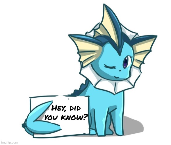 If you get it, you get it | Hey, did you know? | image tagged in vaporeon | made w/ Imgflip meme maker