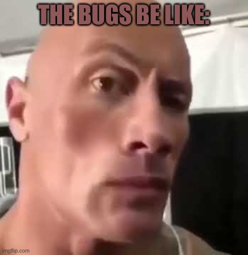 The Rock Eyebrows | THE BUGS BE LIKE: | image tagged in the rock eyebrows | made w/ Imgflip meme maker