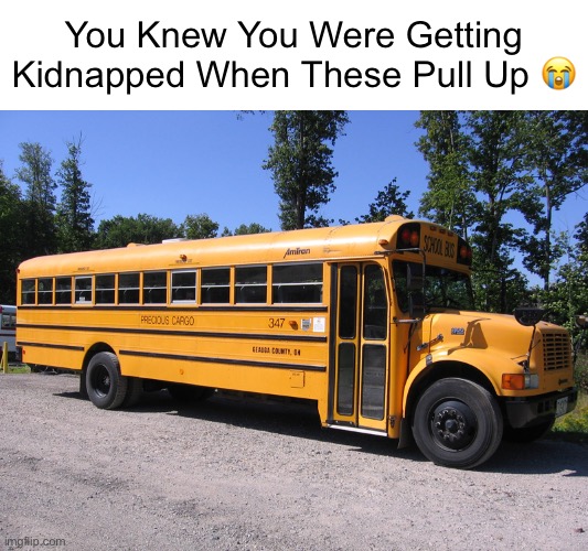 Kidnapping Bus | You Knew You Were Getting Kidnapped When These Pull Up 😭 | image tagged in school bus,memes | made w/ Imgflip meme maker