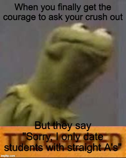 Kermit Triggered | When you finally get the courage to ask your crush out; But they say "Sorry, I only date students with straight A's" | image tagged in kermit triggered | made w/ Imgflip meme maker