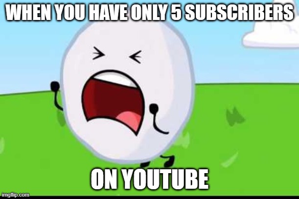 Bfdi Snowball NOOOOO | WHEN YOU HAVE ONLY 5 SUBSCRIBERS; ON YOUTUBE | image tagged in bfdi snowball nooooo,bfdi,funny memes,youtube,subscribe | made w/ Imgflip meme maker