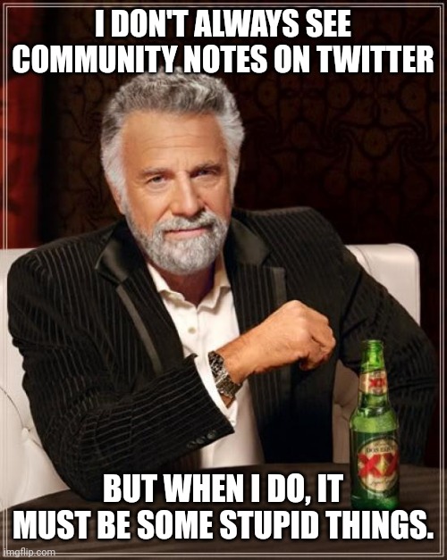 The Most Interesting Man In The World Meme | I DON'T ALWAYS SEE COMMUNITY NOTES ON TWITTER; BUT WHEN I DO, IT MUST BE SOME STUPID THINGS. | image tagged in memes,bad,notes | made w/ Imgflip meme maker