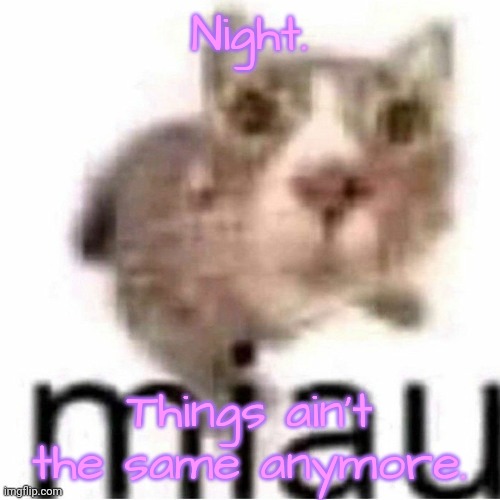 I'll miss u. | Night. Things ain't the same anymore. | image tagged in no,not anymore | made w/ Imgflip meme maker