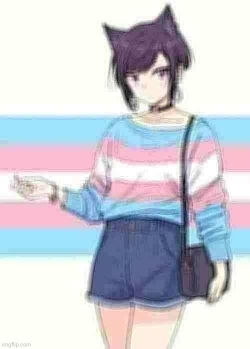 Cat girl trans | image tagged in cat girl trans | made w/ Imgflip meme maker