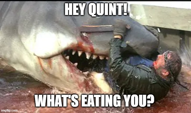 Jaws Kills Quint | HEY QUINT! WHAT'S EATING YOU? | image tagged in jaws,sharks,movies,great white,quint,steven spielberg | made w/ Imgflip meme maker