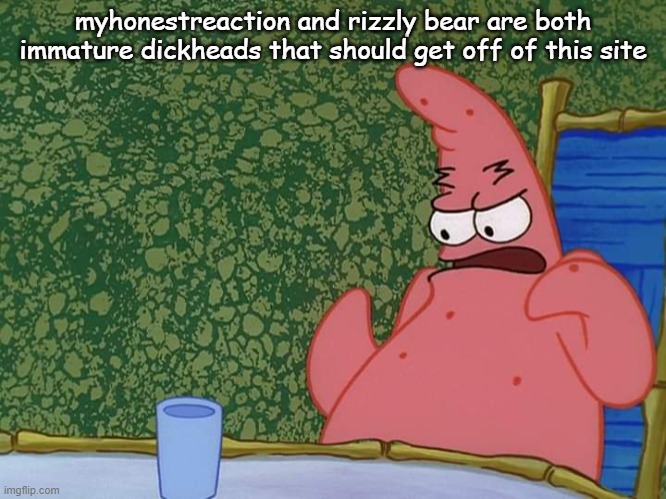 patrick | myhonestreaction and rizzly bear are both immature dickheads that should get off of this site | image tagged in patrick | made w/ Imgflip meme maker