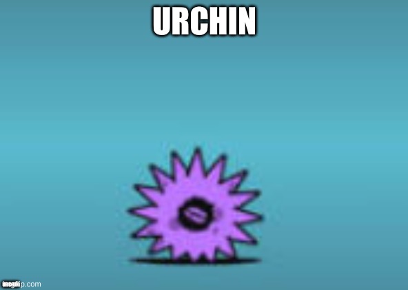 URCHIN; URCHIN | made w/ Imgflip meme maker