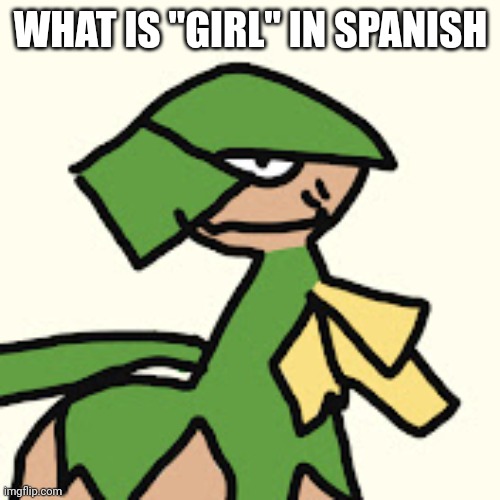 RoyalMelon | WHAT IS "GIRL" IN SPANISH | image tagged in royalmelon | made w/ Imgflip meme maker