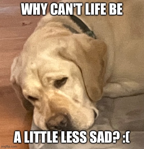 why oh why | WHY CAN'T LIFE BE; A LITTLE LESS SAD? :( | made w/ Imgflip meme maker