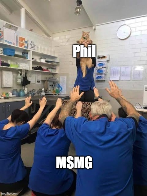People Worshipping The Cat | Phil; MSMG | image tagged in people worshipping the cat | made w/ Imgflip meme maker