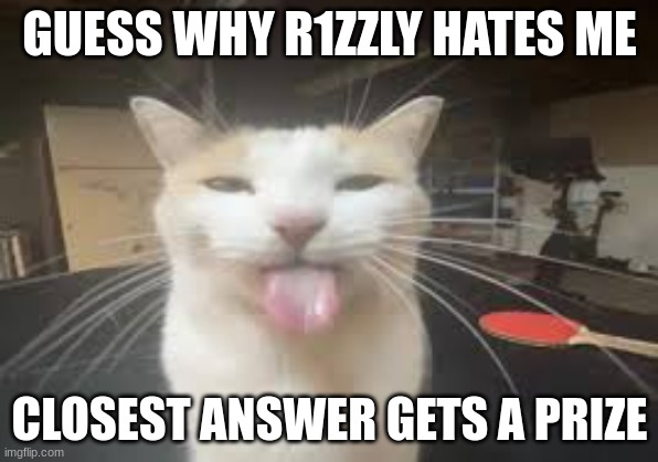 Cat | GUESS WHY R1ZZLY HATES ME; CLOSEST ANSWER GETS A PRIZE | image tagged in cat | made w/ Imgflip meme maker