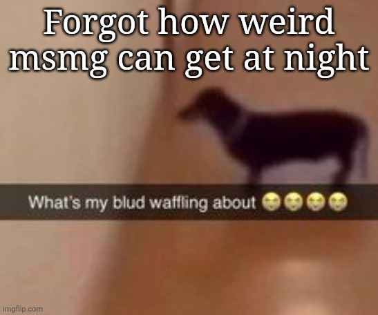 What's my blud waffling about | Forgot how weird msmg can get at night | image tagged in what's my blud waffling about | made w/ Imgflip meme maker