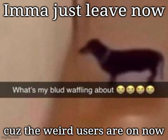 What's my blud waffling about | Imma just leave now; cuz the weird users are on now | image tagged in what's my blud waffling about | made w/ Imgflip meme maker